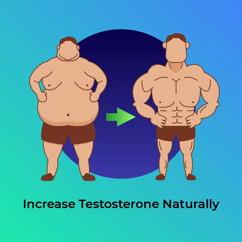 Testosterone Lifestyle