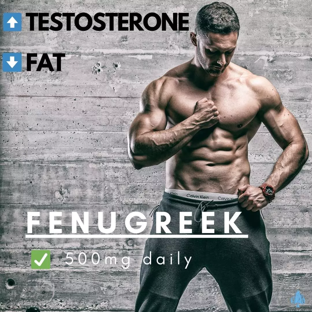 Fenugreek Increases T Levels