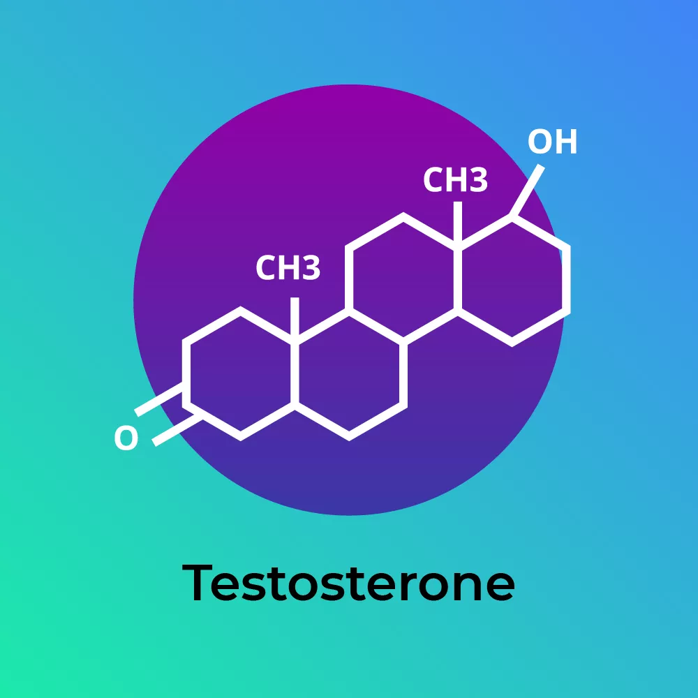Testosterone Production: The HPA & HPG Axis [Step-By-Step]