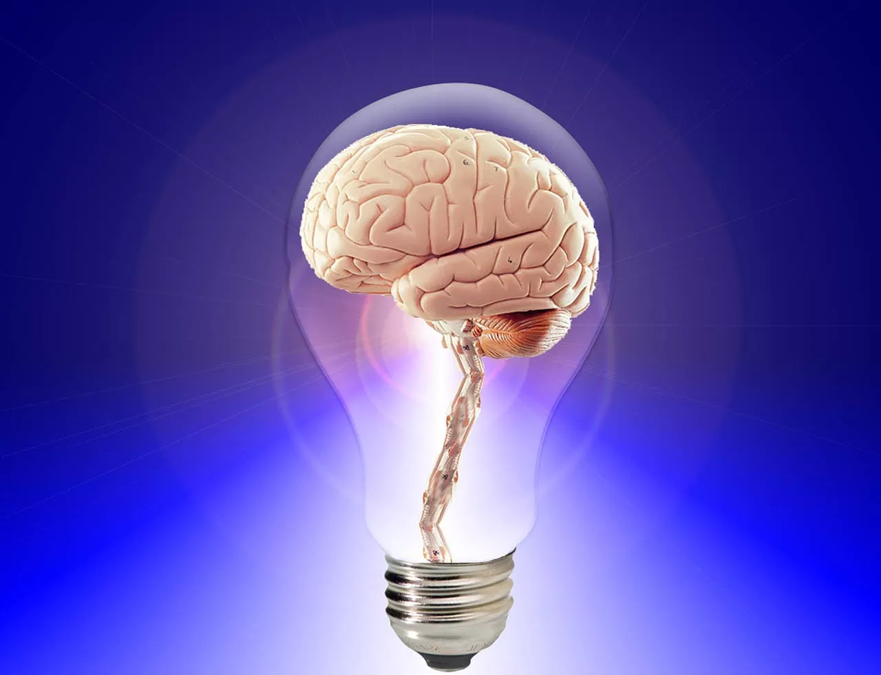 Low T Light Bulb Brain