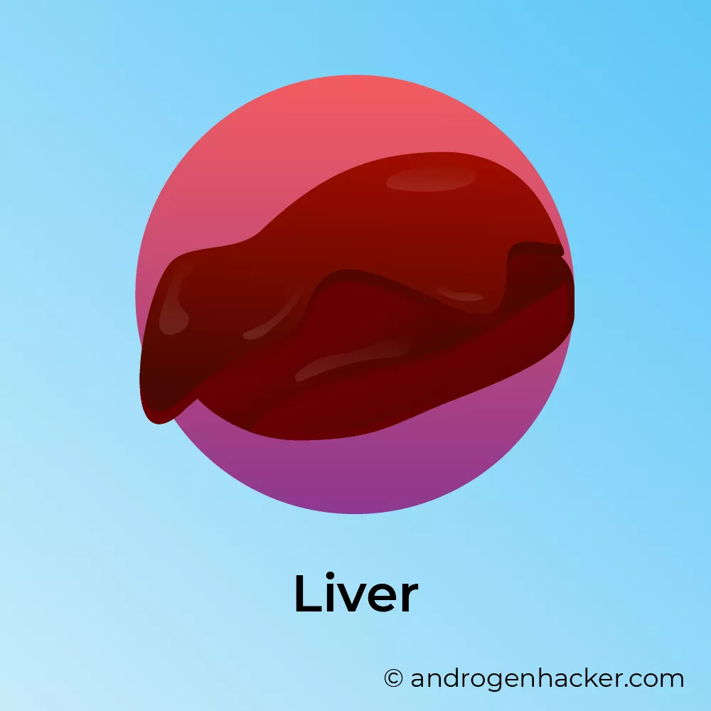 Chicken liver testoterone boosting food