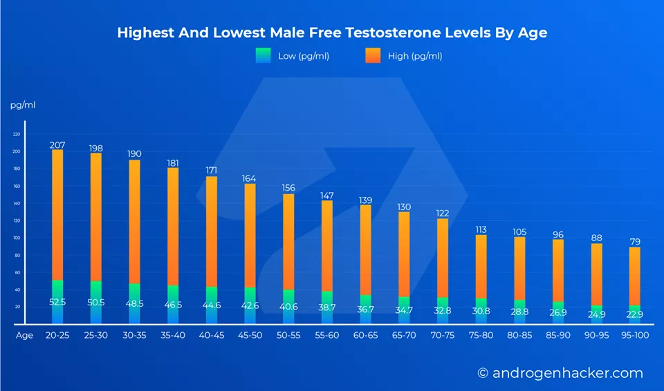 Male Free Testosterone Levels By Age Chart