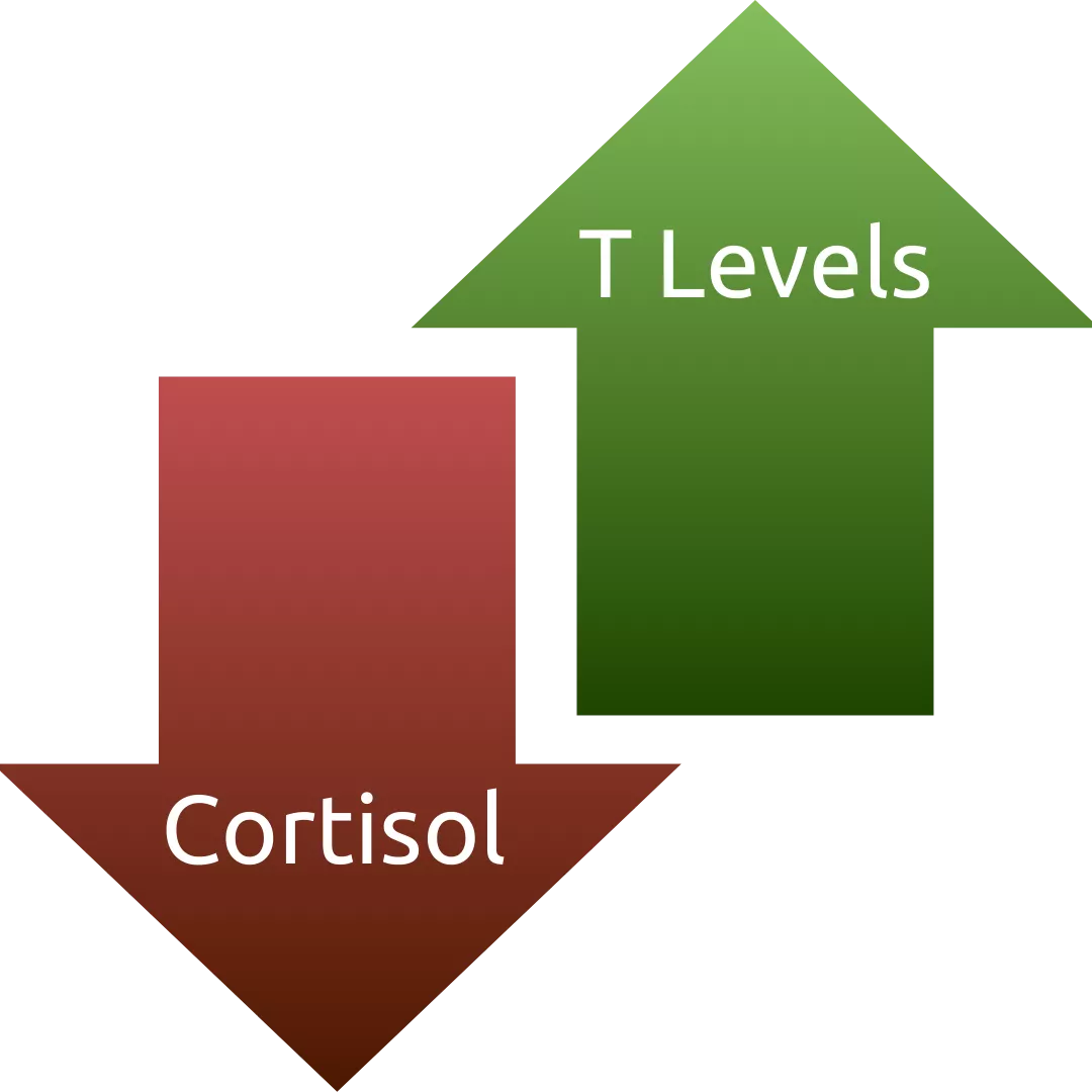 Cortisol & Testosterone Inverse Relationship