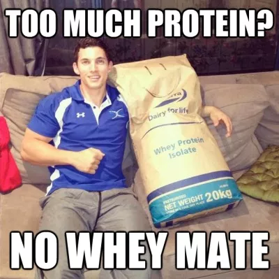 Too Much Protein No Whey Bro